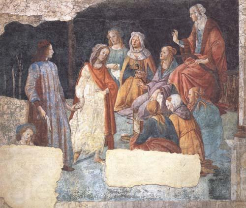 Sandro Botticelli Lorenzo Tornabuoni France oil painting art